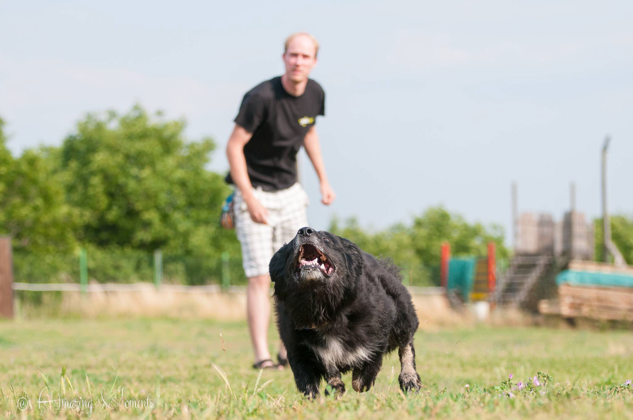 Andrew and Flag Dogfrisbee - KMARCh Vienna 2015
