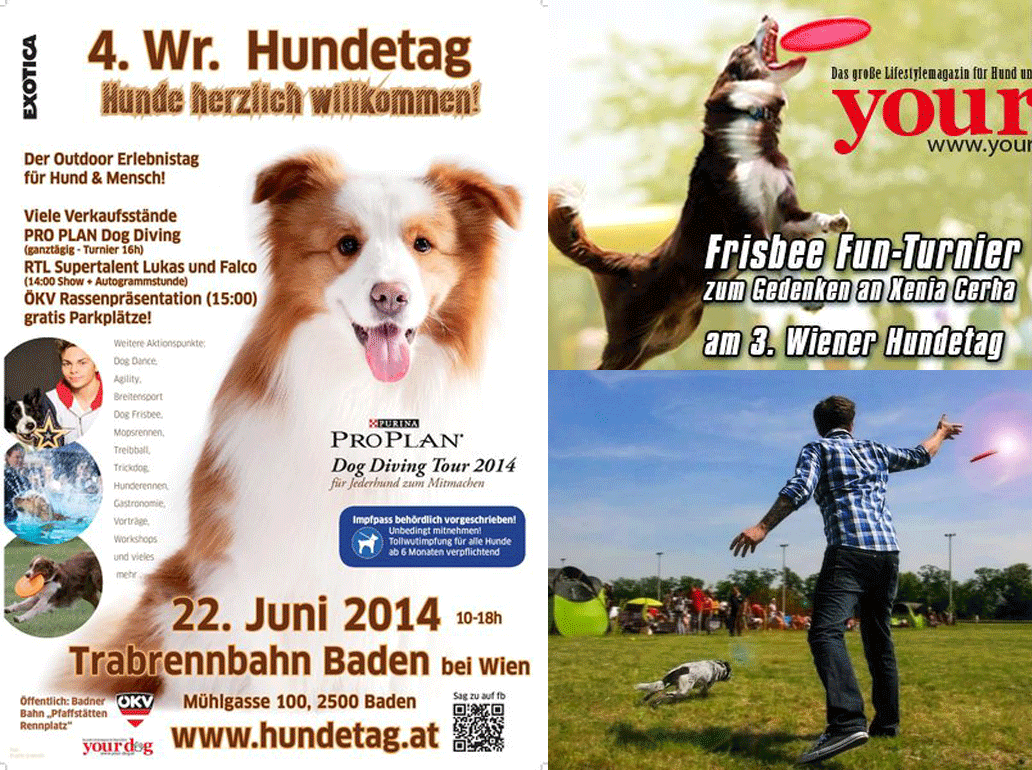 Frisbee am Wiener und Badner Hundetag