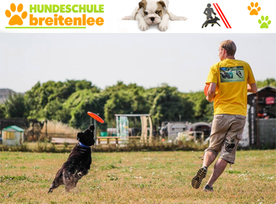 Andrew Hundeschule Breitenlee