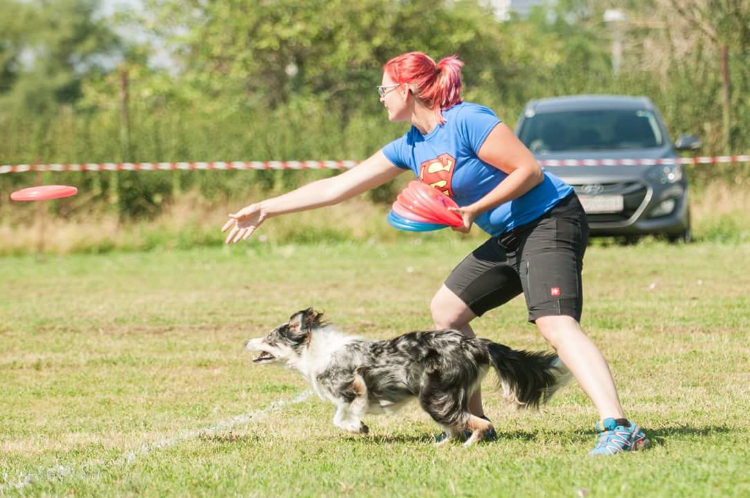 KMARCh 2016 Dog Frisbee Fun in Vienna