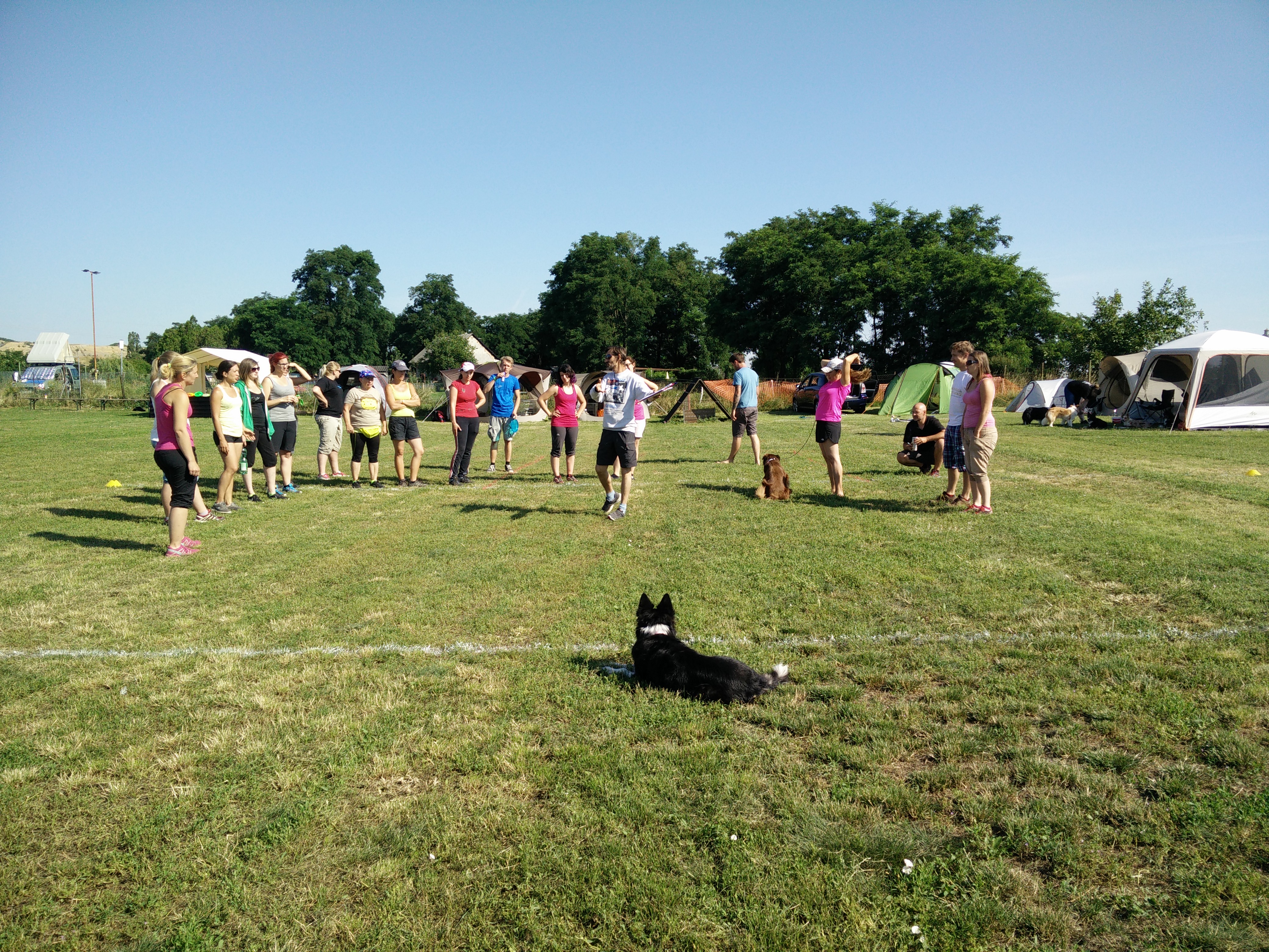 KMARCh 2016 Dog Frisbee Fun in Vienna